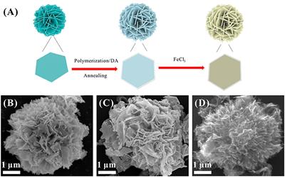 Nitrogen Doped Carbon Nanosheets Encapsulated in situ Generated Sulfur Enable High Capacity and Superior Rate Cathode for Li-S Batteries